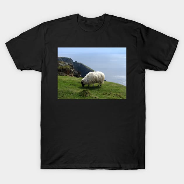 Ram Grazing on Slieve League, Ireland T-Shirt by Ludwig Wagner